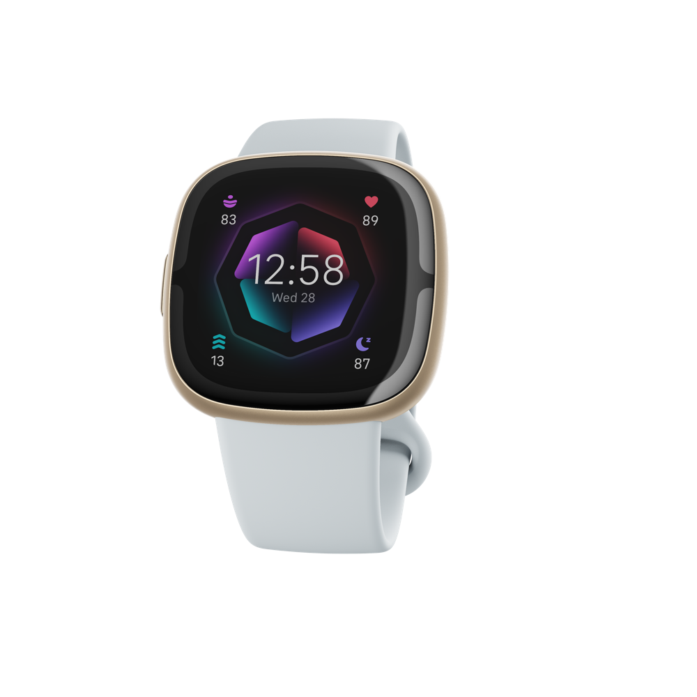 Fitbit Mist Blue Watch